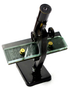Leitz 1940–41 Trichinoscope